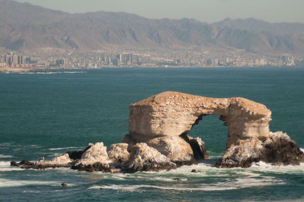Enjoy Antofagasta Otel Dış mekan fotoğraf